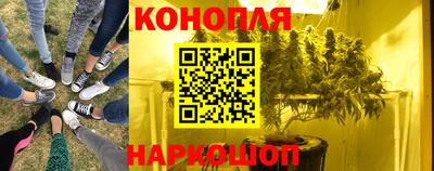 СК Гусь-Хрустальный
