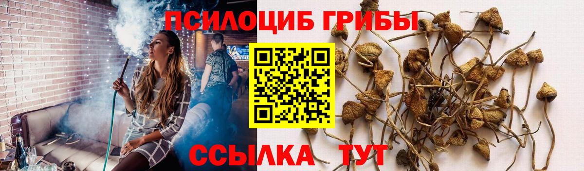 Галлюциногенные грибы GOLDEN TEACHER  Вход с VPN  Псилоцибиновые грибы MAGIC MUSHROOMS  Мурманск 