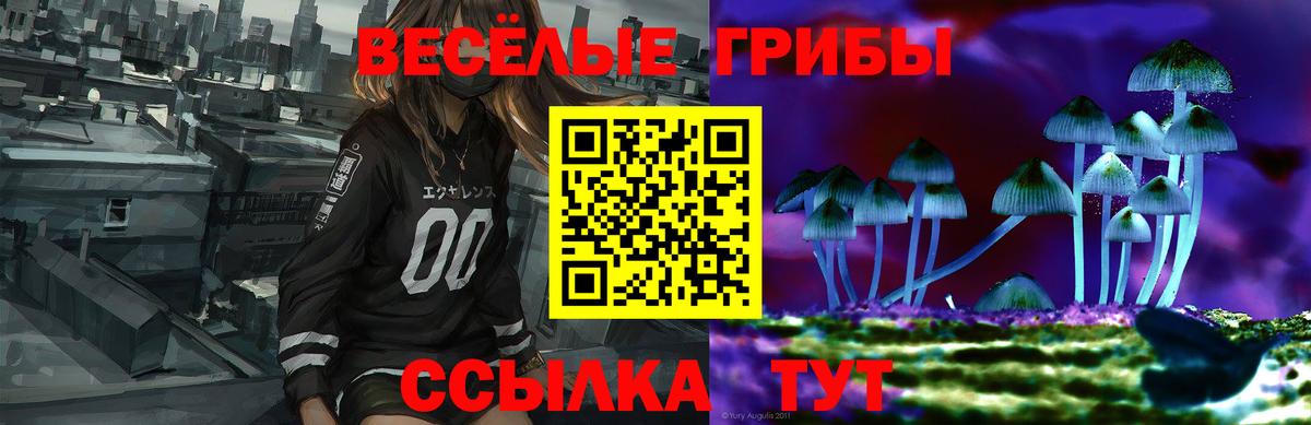 Псилоцибиновые грибы MAGIC MUSHROOMS Мурманск