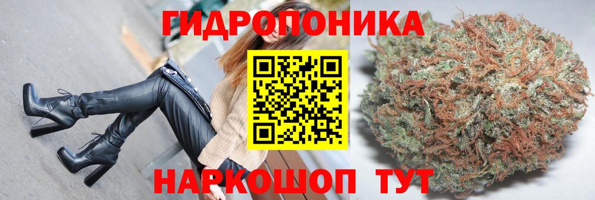 Псилоцибиновые грибы Мурманск